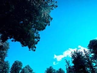 [お休みに変更]