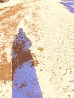 プラスな存在に🌱