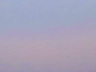 🌤️おはようございます☀️