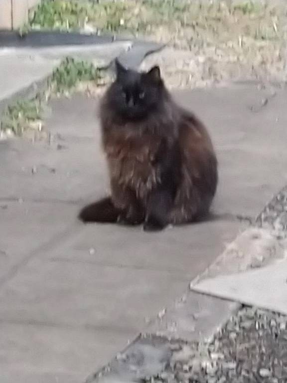 お久しぶりです