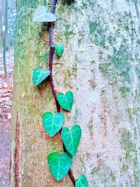 🌱いきること🌿