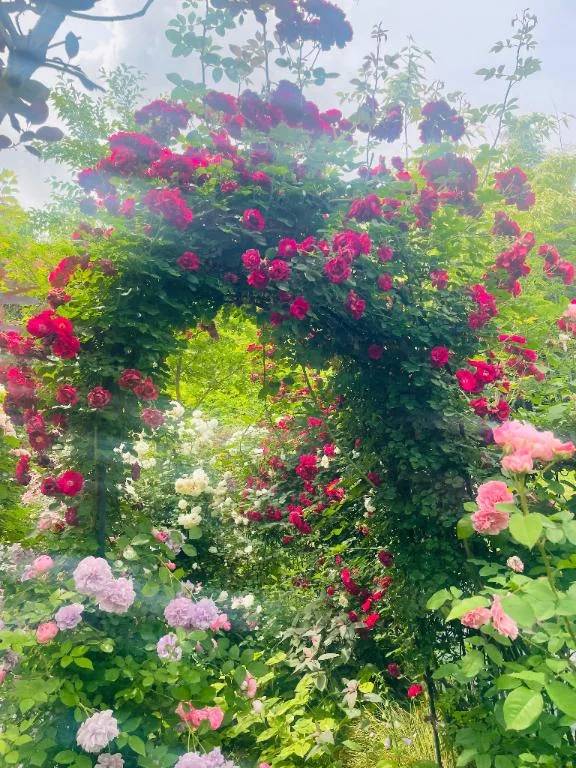 おはようございます