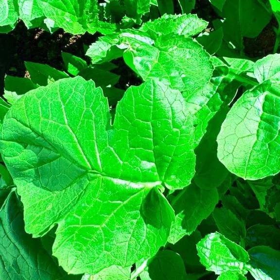 🫧2/28(土)ご予約🫧