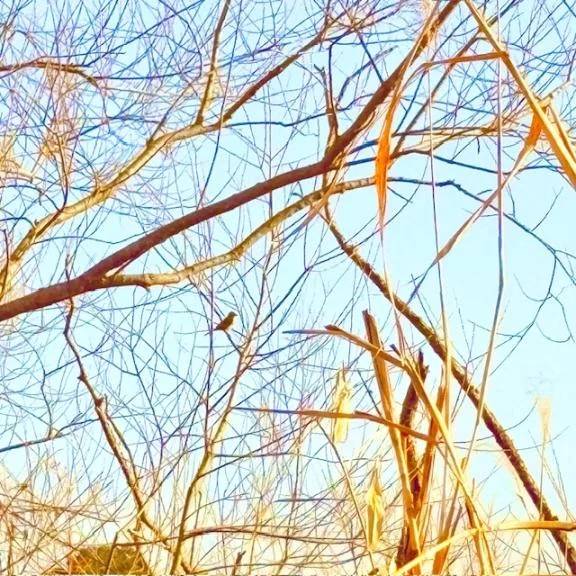 [明日・出勤日]