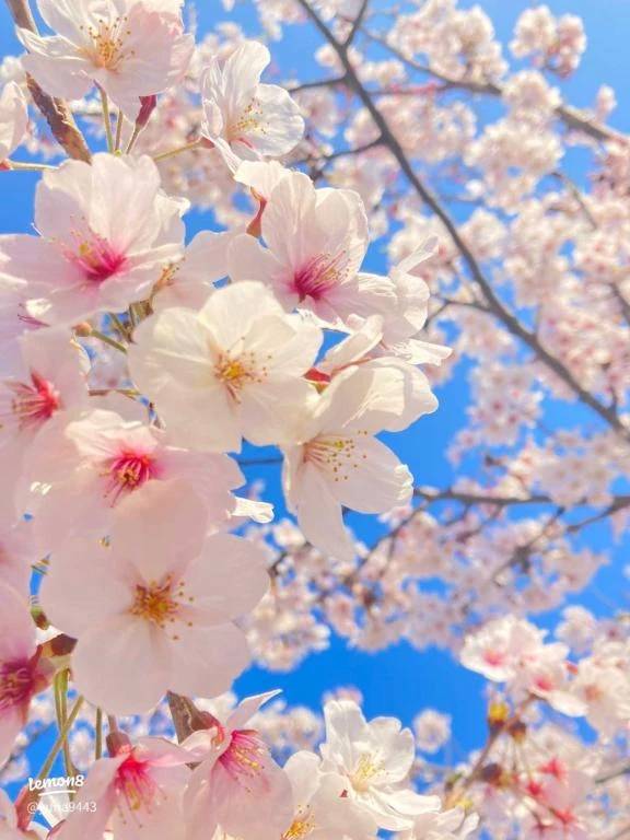 参加してます💓