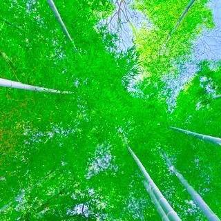 [明日・出勤日]