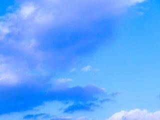 🔅本日出勤日🔅