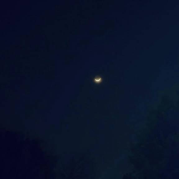 ✨好きな形🌙