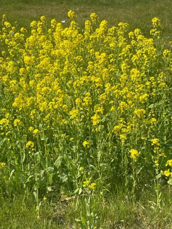 今日の出勤前に