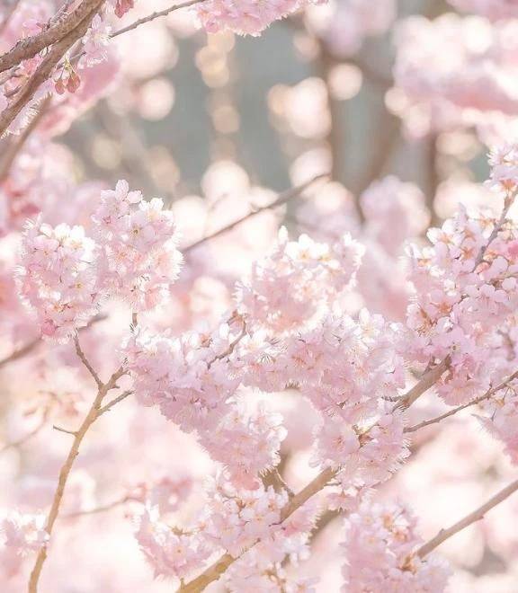 いっしょに遊びましょ〜︎💕︎︎💕︎