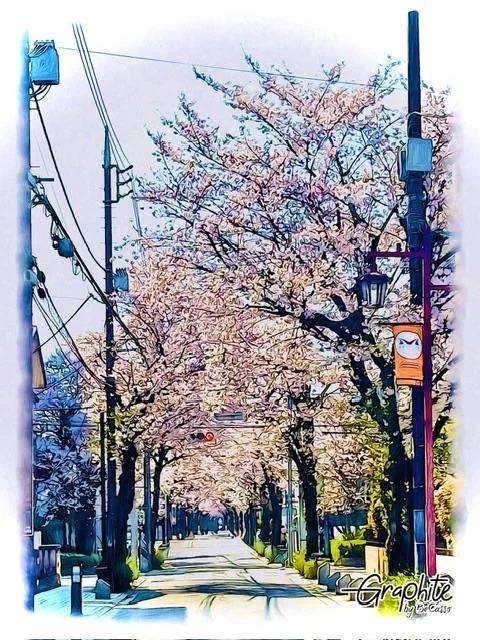 ✨素敵なこと✨
