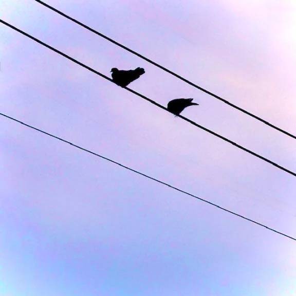 早くから📮