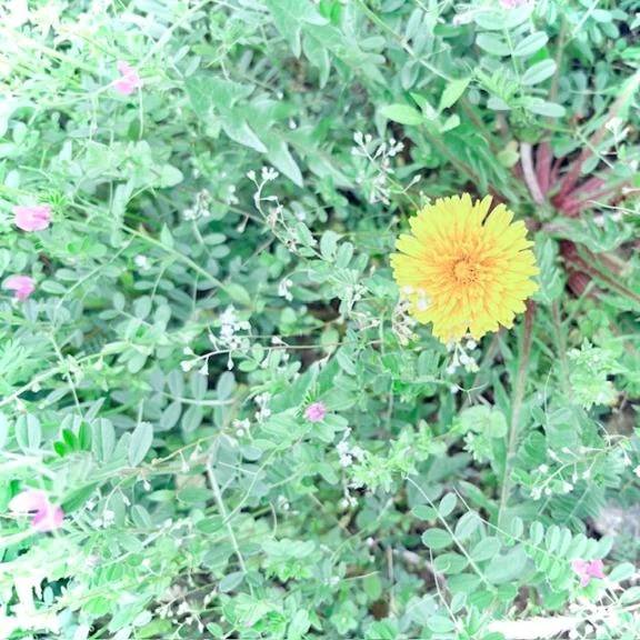 ✨4/18(土)✨