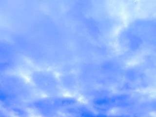 🔅本日出勤日🔅
