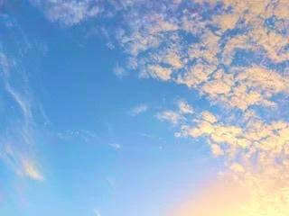 🔆本日出勤日🔆