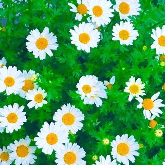 ✨ご予約✨