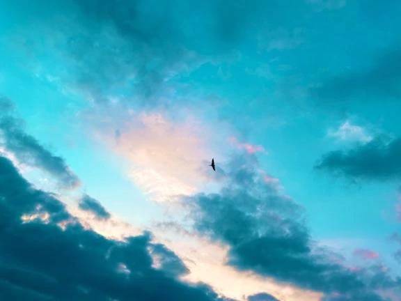 🌤️おはようございます⛅️