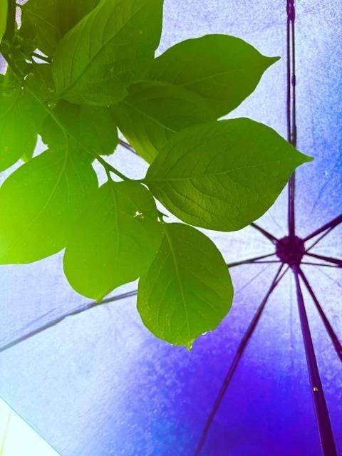 そんな日も☔️