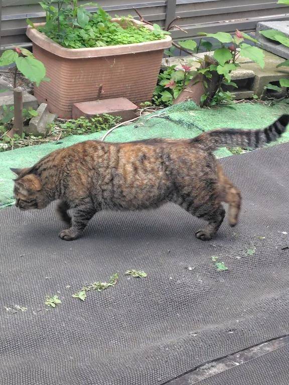 出勤です！