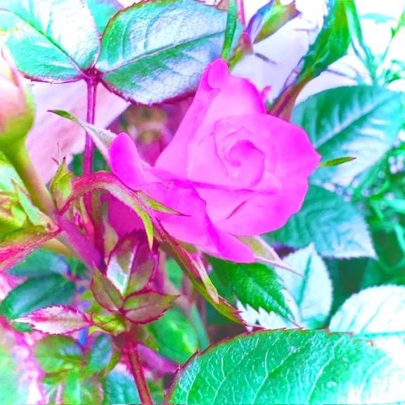 ✉️メッセージ✉️