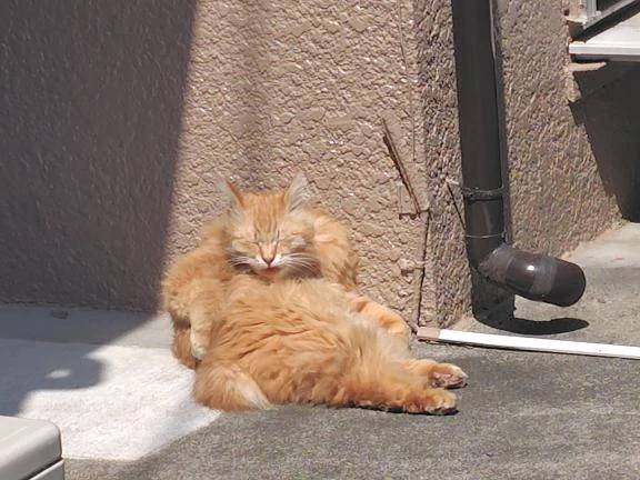 お天気☀︎