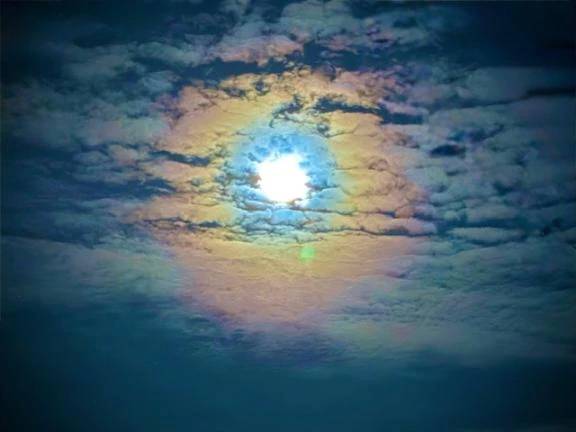 🌖夜の月🎨