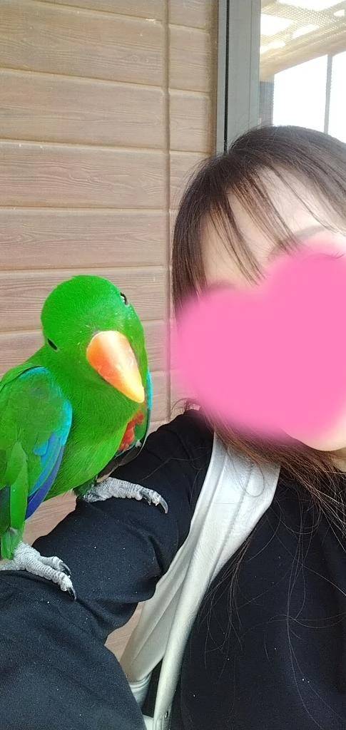 鳥カフェ💓