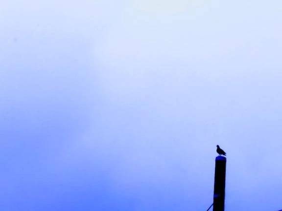🌧️おはようございます🌦️