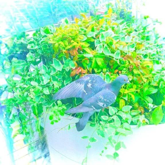 🍀今日のお礼🍀