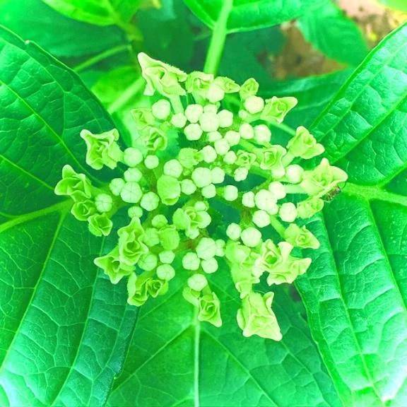 🍀今日のお礼🍀