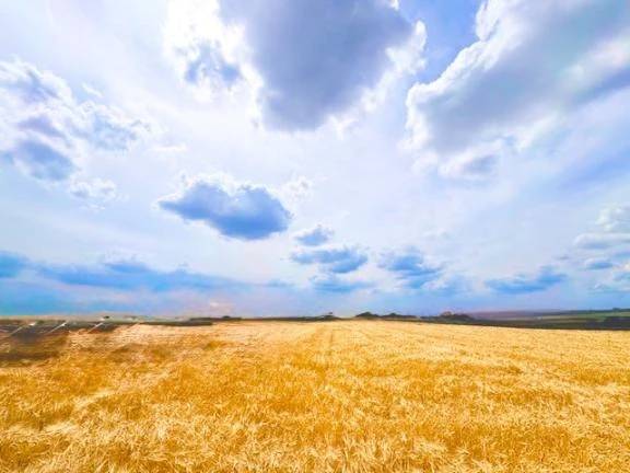 ☀️おはようございます🌥️