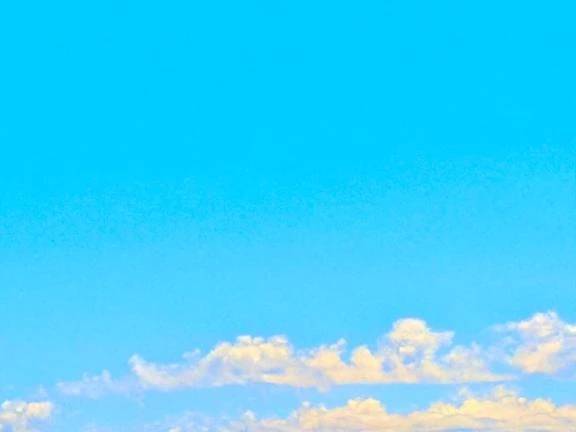 🔅本日出勤日🔅