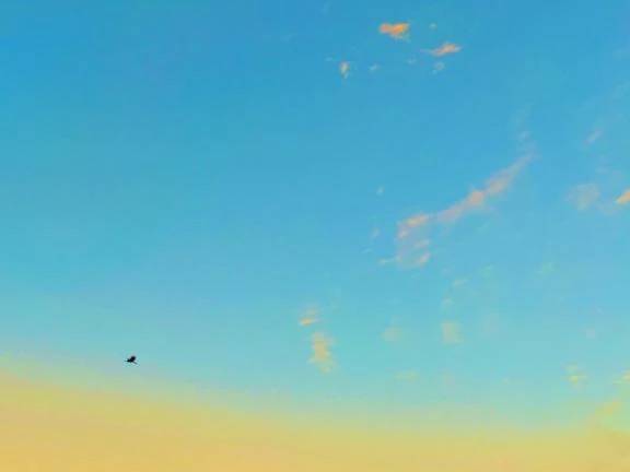 🌤️おはようございます☀️