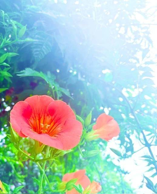 🍀今日のお礼🍀