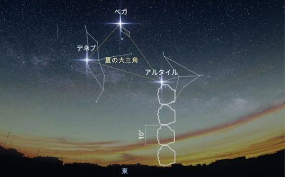 🌠夏のお届け物🌌