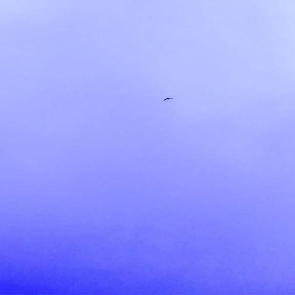 🌧️おはようございます☁️