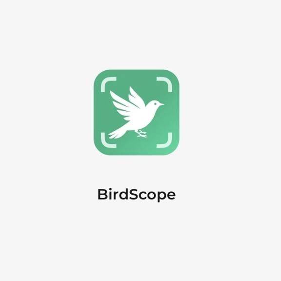 🦉いいもの見つけた🦅