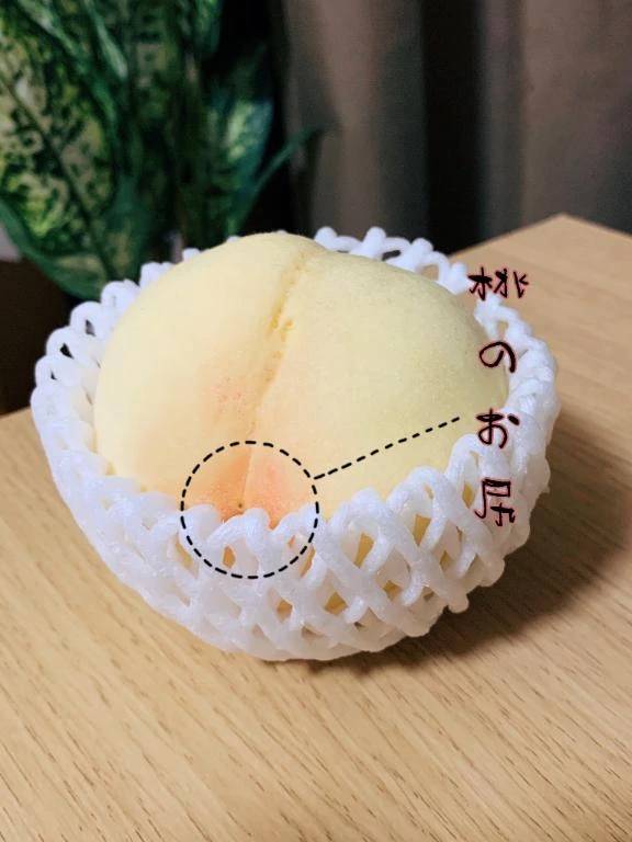 初めまして！