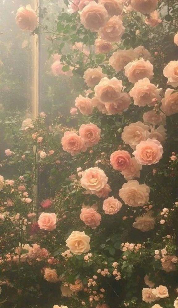 こんにちは🌸