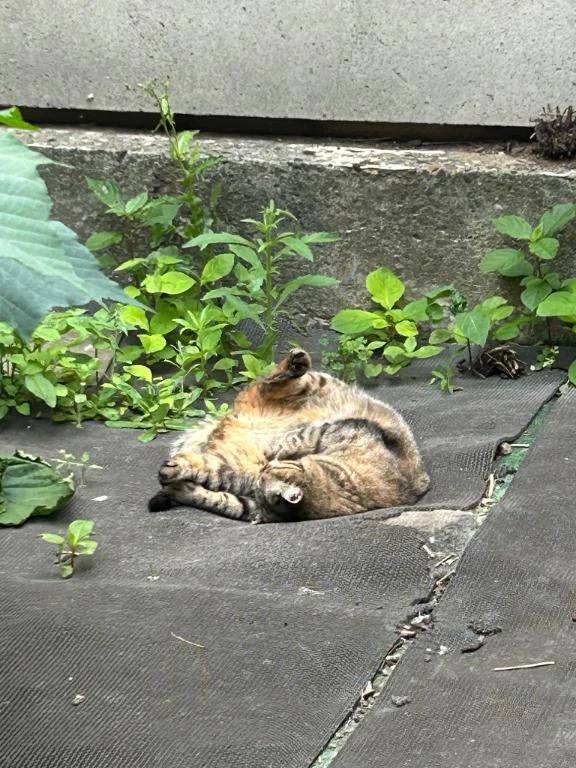 油断しすぎじゃない…？