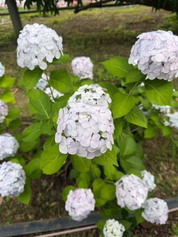 シフト🌸