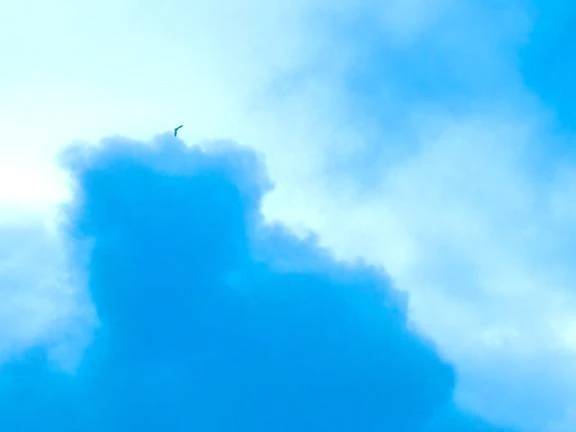 🌤️おはようございます🌦️