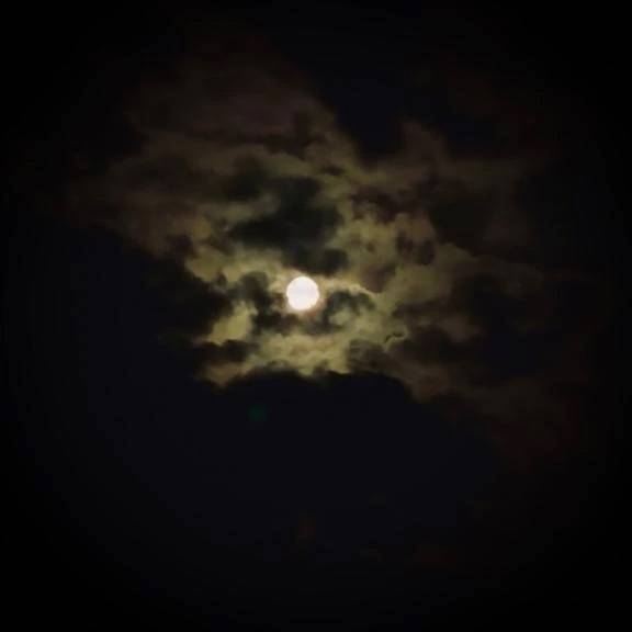 🌕お月様🍓