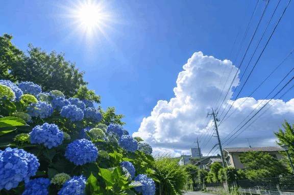 今日もありがとうございました🌷