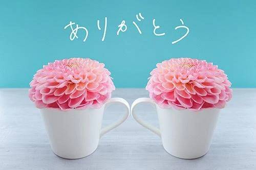 お礼日記💌