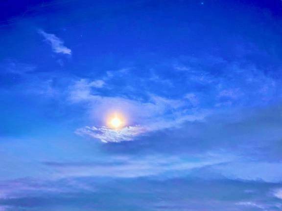 月と一緒に🌙