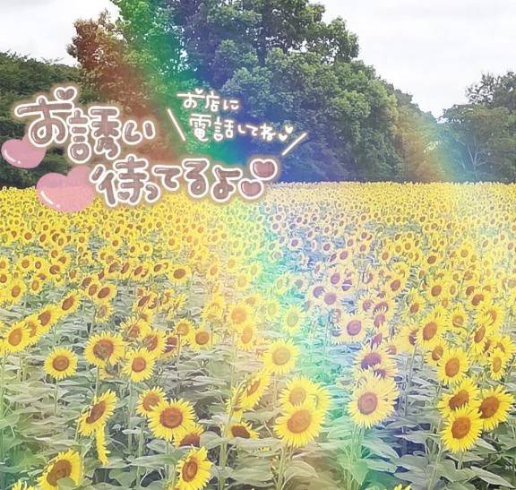 参加です