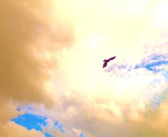🌦️おはようございます⛅️