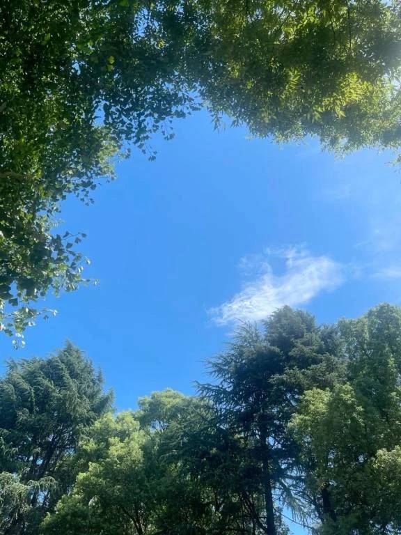 おはよん