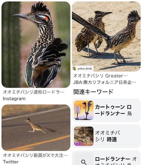モデルさんがいた🕊️